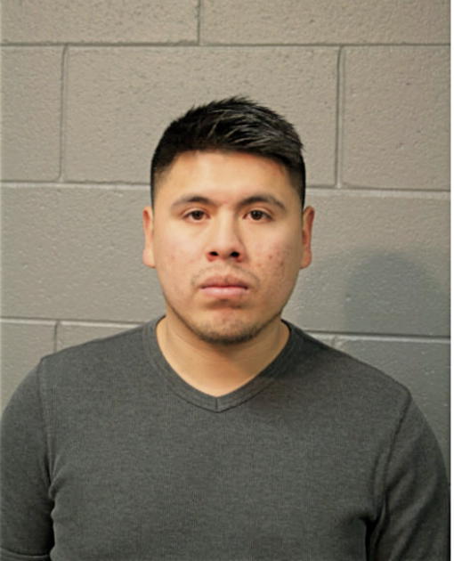 JOSE L MEZA, Cook County, Illinois