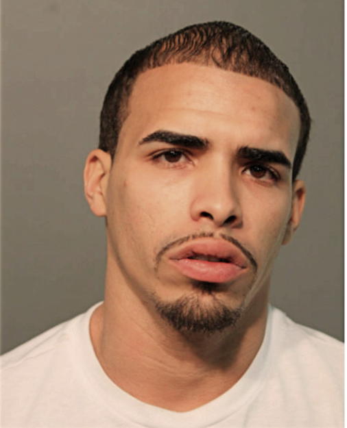 GELSON L PAGAN-TORRES, Cook County, Illinois