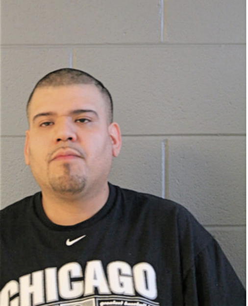 LUIS G MORALES, Cook County, Illinois