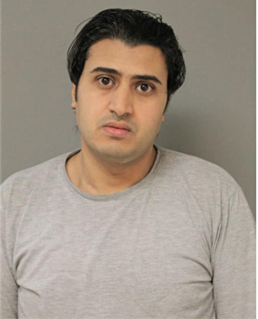 MOHAMED A HASSAN, Cook County, Illinois