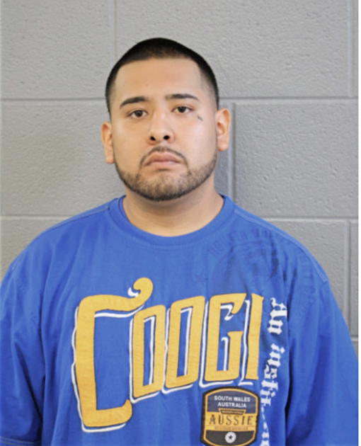 RAUL LAGUNAS, Cook County, Illinois