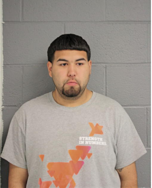 MICHAEL A TORRES, Cook County, Illinois