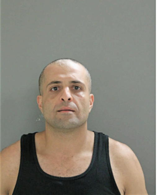 MOHAMED A MOSTAFA, Cook County, Illinois