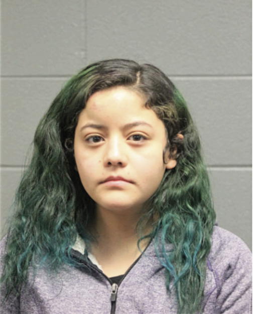 ROXANA GUADALUPE LOPEZ, Cook County, Illinois