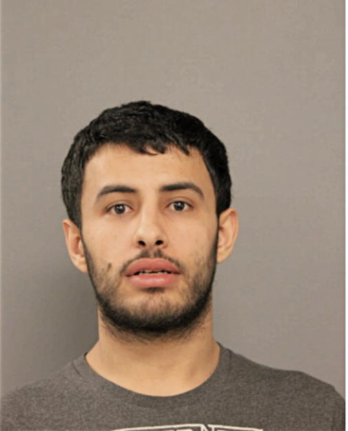 MOHAMMED H MOHAMMED, Cook County, Illinois