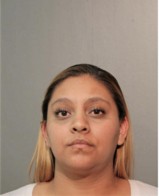 ERIKA C CASTRO-TORRES, Cook County, Illinois