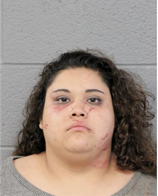 LAURA M SANCHEZ, Cook County, Illinois