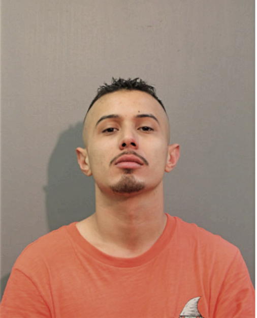 OMAR A DIAZ, Cook County, Illinois