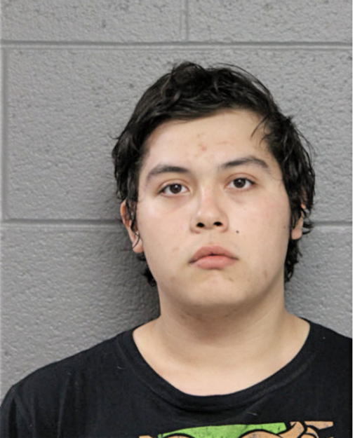 VALENTE NAVARRO, Cook County, Illinois