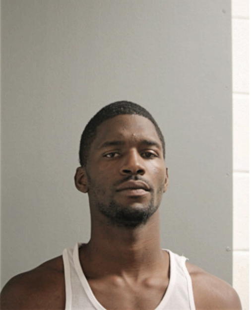 CHRISTOPHER L WILLIAMS, Cook County, Illinois