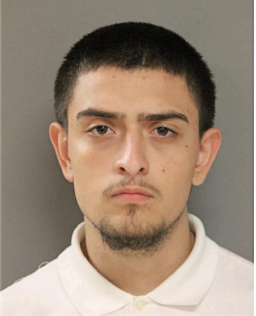 RONALDO SOTELO, Cook County, Illinois