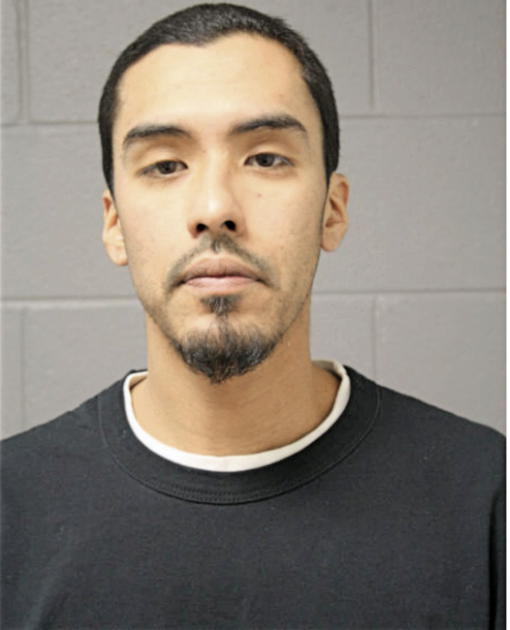 FIDEL ROMERO, Cook County, Illinois