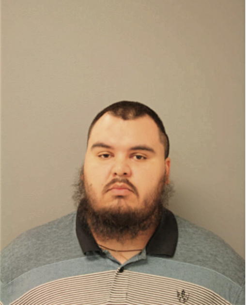 RICARDO DOMINGUEZ, Cook County, Illinois