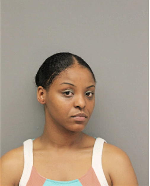 BRITTANY G JOHNSON, Cook County, Illinois