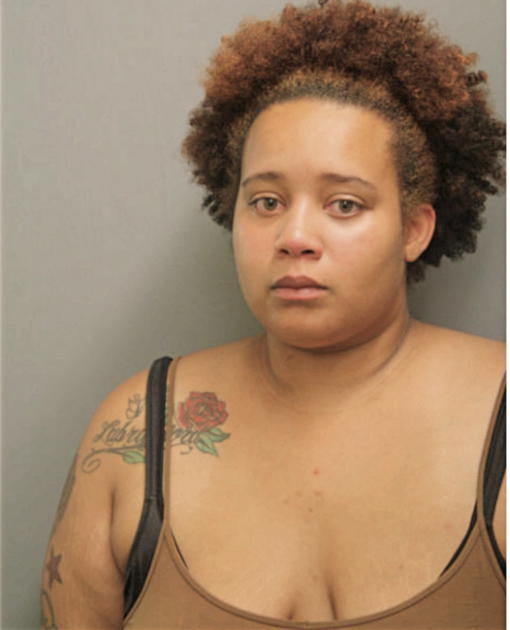 BRITTANY D MARTIN, Cook County, Illinois