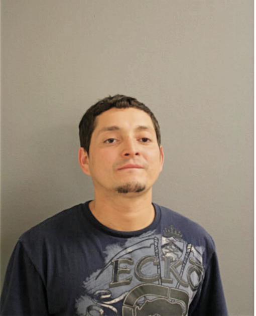 LUIS SANTAMARIA-ARAS, Cook County, Illinois