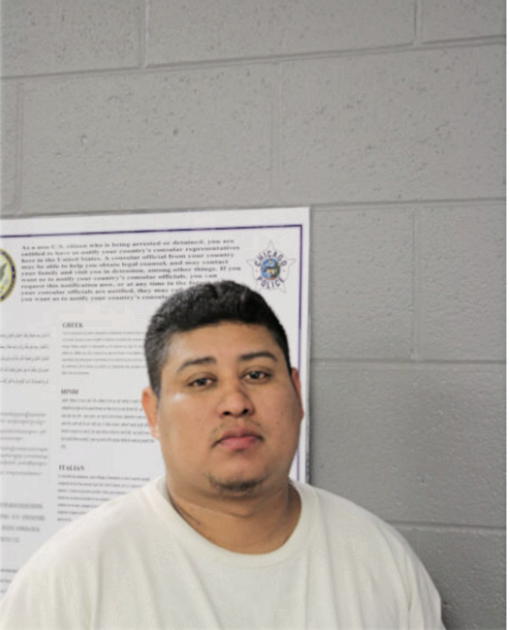 MELVIN ROSALES, Cook County, Illinois