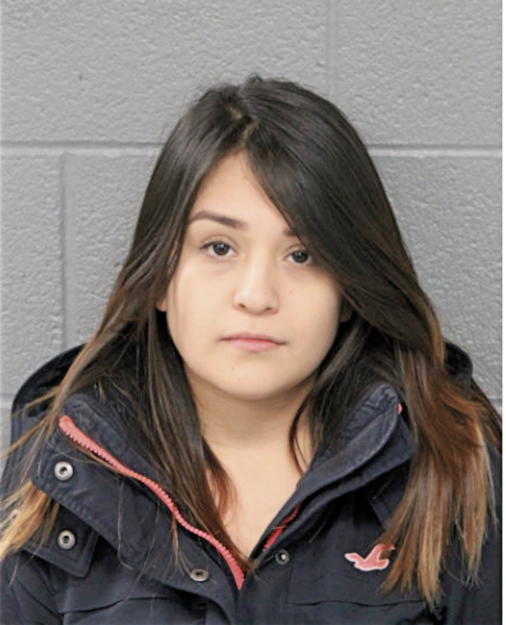 ADAMARYS CHAVES, Cook County, Illinois
