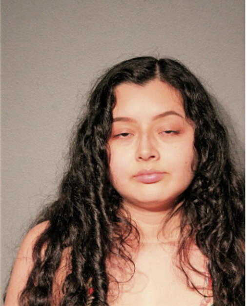 MARIA V DIAZ-ROGEL, Cook County, Illinois