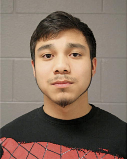 MICHAEL A PENA, Cook County, Illinois