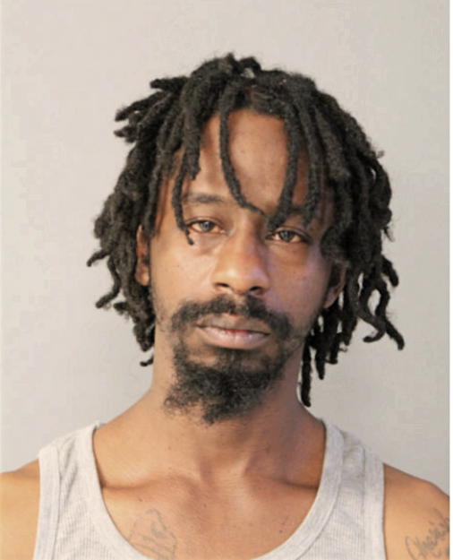 DANE J THOMPSON, Cook County, Illinois