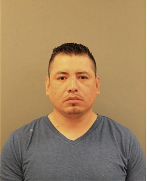 JOSE L MENDOZA-ROSA, Cook County, Illinois