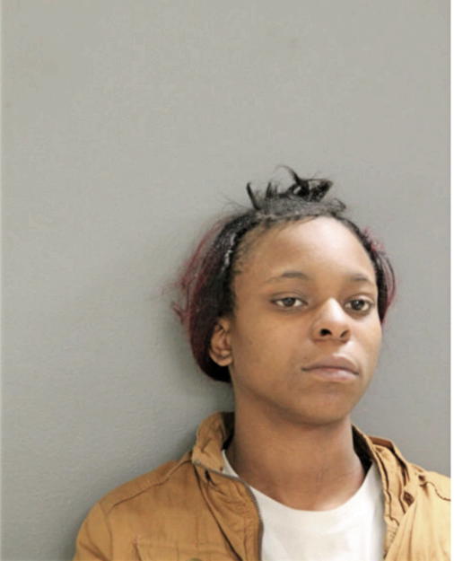 DIONNA M GOODWIN, Cook County, Illinois