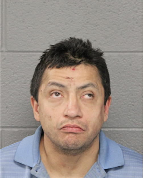 JOSE L SANCHEZ, Cook County, Illinois