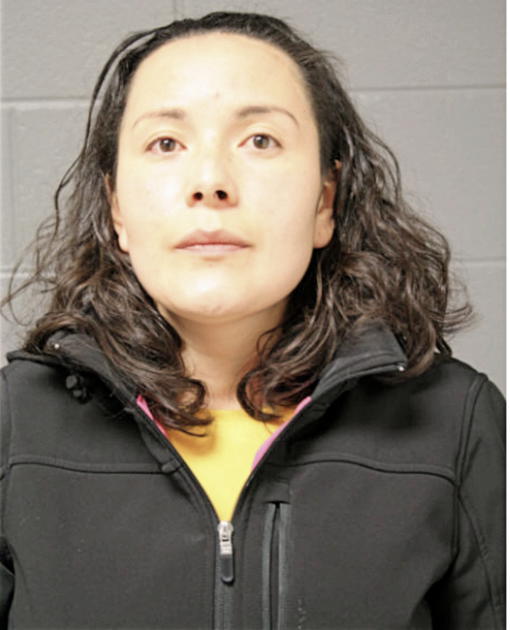 LAURA L MENA-GUZMAN, Cook County, Illinois