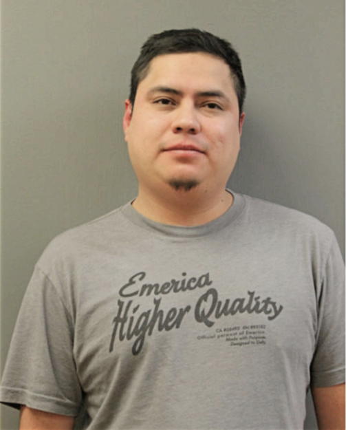 JORGE FLORES, Cook County, Illinois