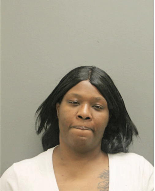 TAMMY M PALMER, Cook County, Illinois