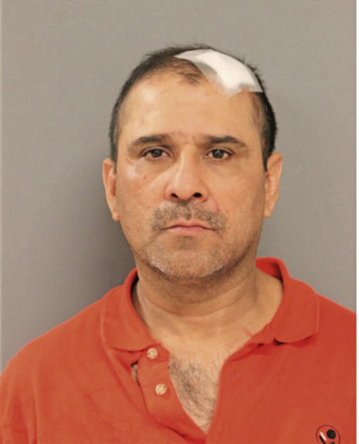 REYNALDO C PENA, Cook County, Illinois