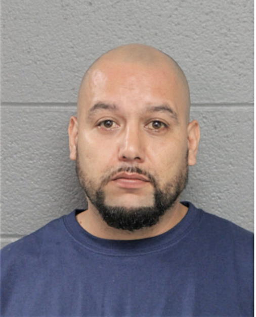 JOSE L FLORES, Cook County, Illinois