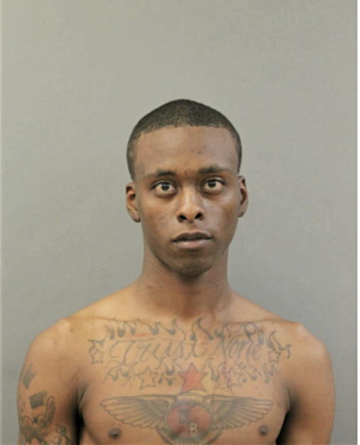 DREQWAUN L JOHNSON, IL