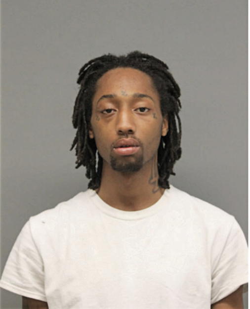 DEVIN J WARNICK, Cook County, Illinois