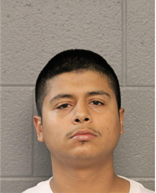 MIGUEL I TORRES, Cook County, Illinois