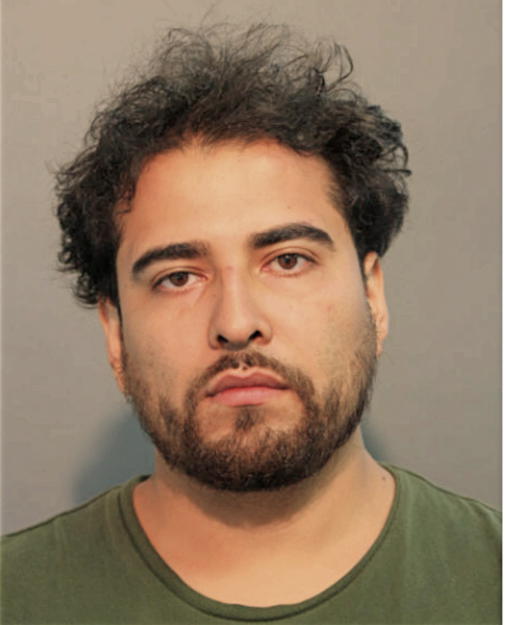 ANDRES JR FLORES, Cook County, Illinois
