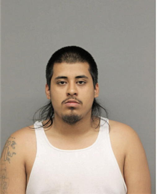 RAUL RODRIGUEZ JR, Cook County, Illinois
