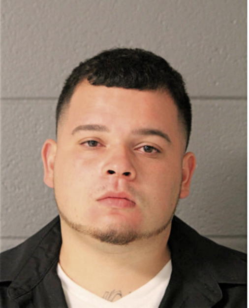 JUAN M NAVARRO, Cook County, Illinois