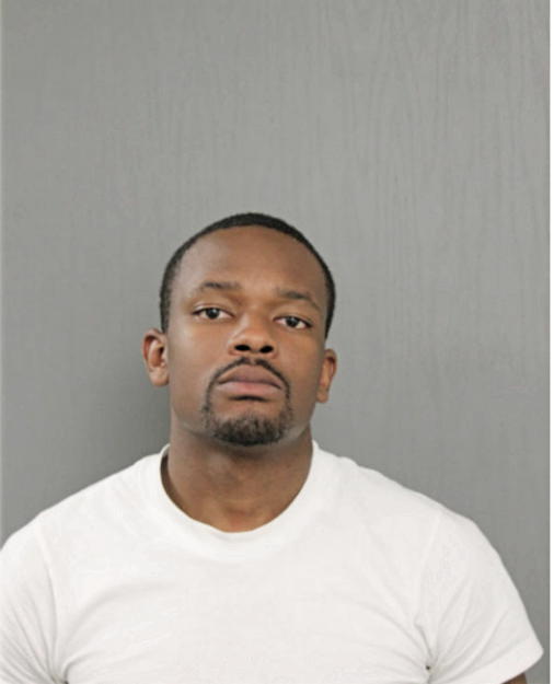 MICHAEL O OBAFEMI, Cook County, Illinois