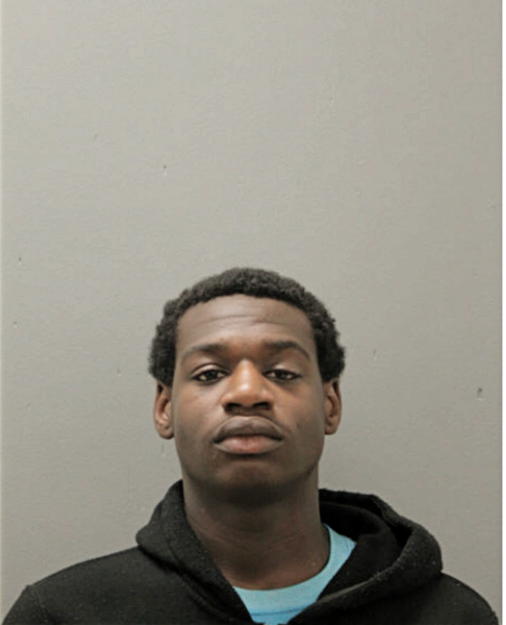DENZEL IRONS, Cook County, Illinois