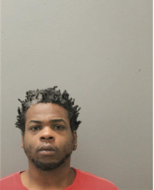 BRANDON L WILLIAMS, Cook County, Illinois