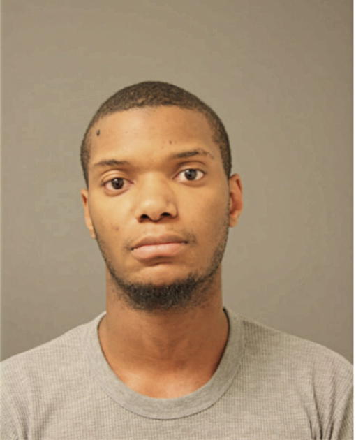 JARELL L LEWIS, Cook County, Illinois
