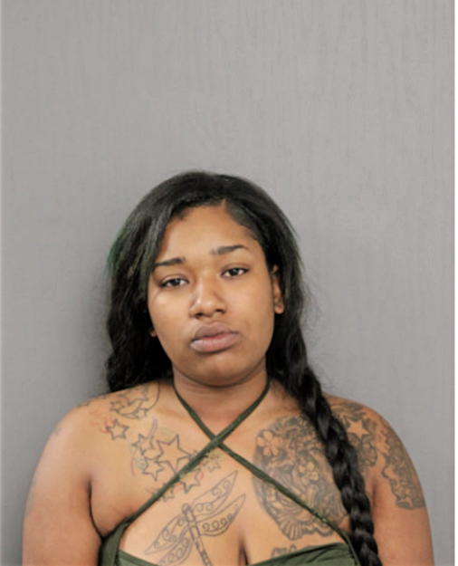 BRITTANY J STEVENSON, Cook County, Illinois