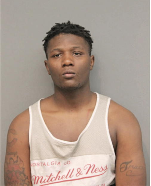 JERMELL AKINS JR., Cook County, Illinois
