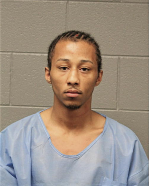 JESSE M LEE, Cook County, Illinois