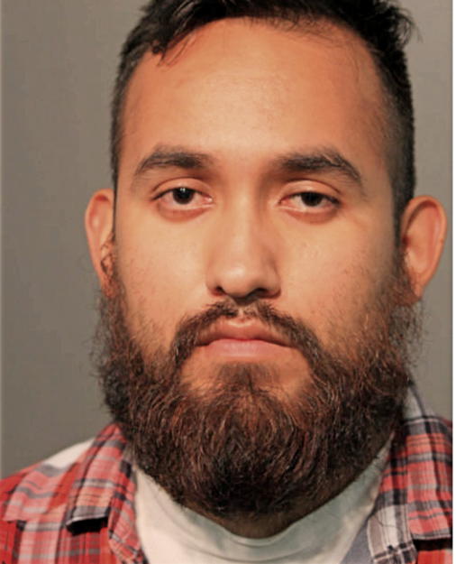GUILLERMO MEJIA-HERNANDEZ, Cook County, Illinois