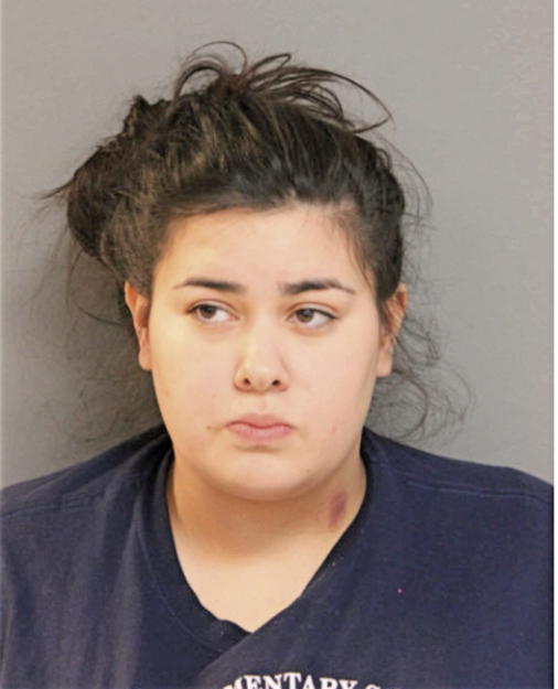 ANGELICA T CHACON, Cook County, Illinois