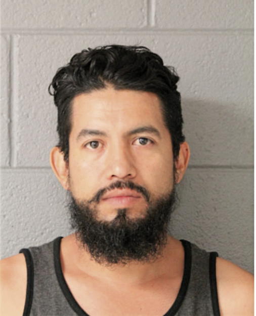 HECTOR A HERNANDEZ, Cook County, Illinois
