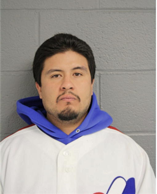 CESAR NIEVES, Cook County, Illinois